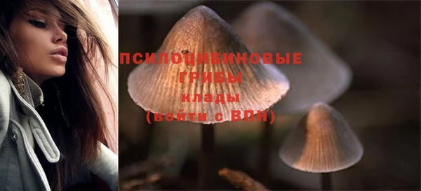 кокаин Новозыбков