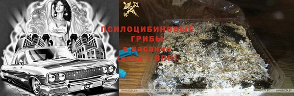 кокаин Новозыбков