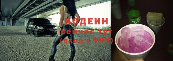 индика Снежногорск