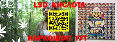 крисы Абакан