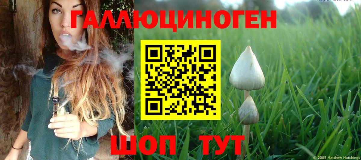 Псилоцибиновые грибы ЛСД  Алушта  Псилоцибиновые грибы мицелий 