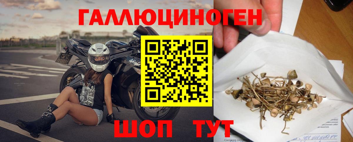 Галлюциногенные грибы Psilocybe Алушта