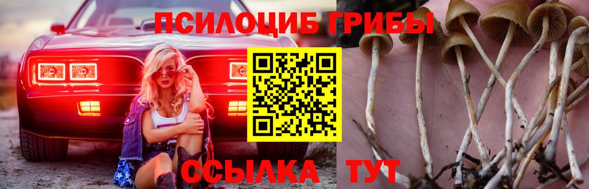 Алушта  где можно купить   Вход с VPN  Псилоцибиновые грибы мухоморы 